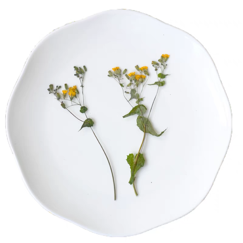 1Set Pressed Dried Potentilla  - Dried Flower Bookmark ulasan dan harga