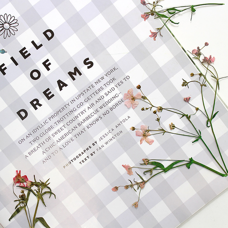 12pcs 5-6cm Dry Flower head Dr - Dried Flower Bookmark ulasan dan harga
