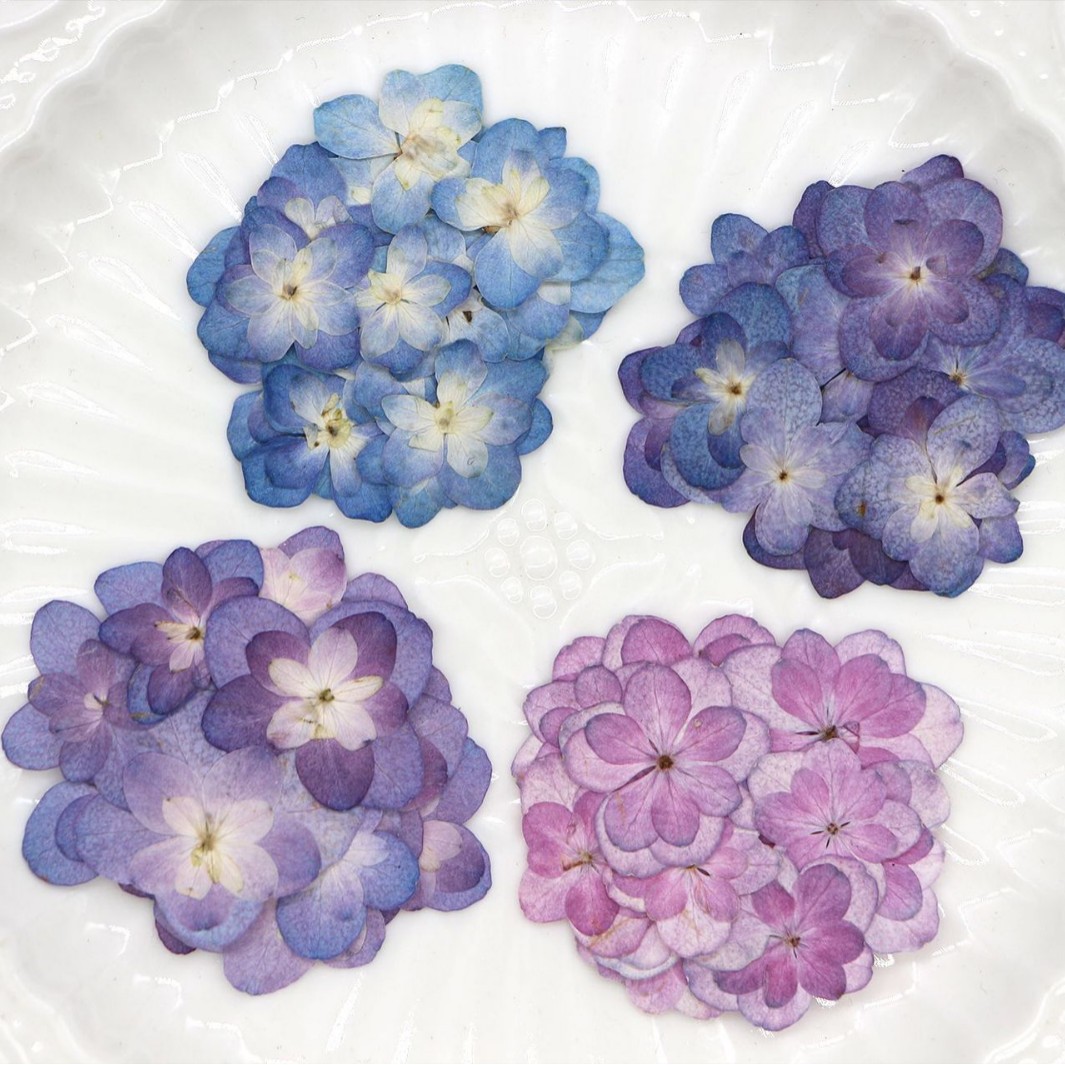 60Pcs Mini Double-Flowered Hyd - Dried Flower Bookmark ulasan dan harga